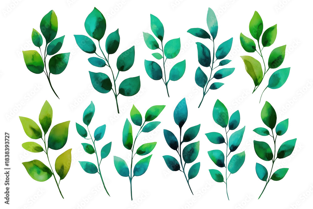 Fototapeta premium Green Foliage Elements Set Hand Drawn Watercolor Flowers Illustration