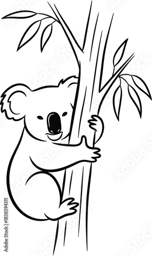 Cute koala bear clinging to a eucalyptus tree branch in a simple line drawing