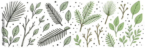 Botanical greenery illustration showcases mixed leaves, branches and evergreen sprigs. The set includes fir needles, eucalyptus leaves, thin twigs
