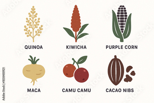 Peruvian superfoods vector icons in torn textured structured grid on white background