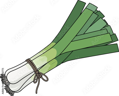 Bunch of green leeks tied with twine on white background