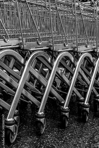 Shopping carts in a row
