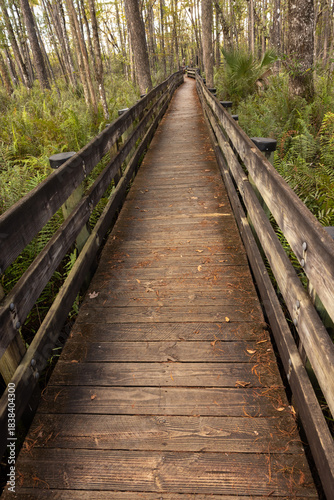 Walkway Through Six Mile Cypress Slough Preserve in Fort Myers Florida Invites Visitors to Explore Nature at Any Time of the Year