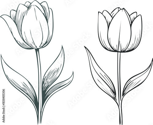 Clean tulip line drawing rendered in minimal floral outline suitable for tiny tattoo inspired artwork