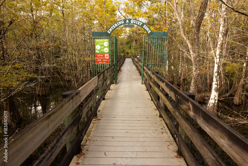 Visitors Walk Along the Boardwalk Leading Into the Wetland Area of Six Mile Cypress Slough Preserve in Fort Myers Florida During the Day