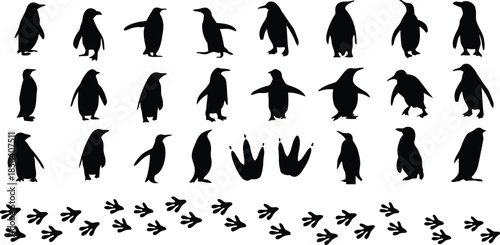 penguin, silhouette, animal, bird, wildlife, footprint, track, walking, standing, profile, group, collection, set, black, white, background, isolated, illustration, graphic, design, nature, Antarctic,