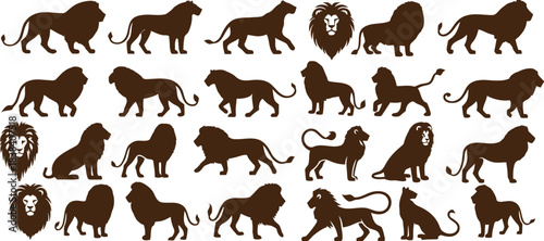 collection, mane, silhouettes, sitting, wildlife, background, roaring, actions, design, tail, lions, illustration, pending, poses, keywords:, cat, graphic, silhouette, animal, vector