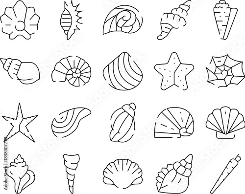 Seashells and starfishes marine life line art icons