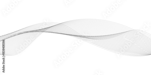 Technology and business wave lines on transparent background. Vector curve wave line seamless pattern. Gray curved line for banner design and frequency sound wave line. Future technology concept.