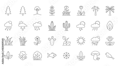 Collection of minimalist linear botanical illustrations featuring various plants and fungi in black and white