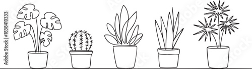 Minimalist black outline drawing of various popular house plants in simple pots on a clean white background collection