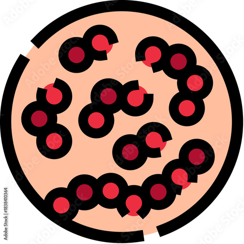 Streptococcus bacteria microscopic view causing infection