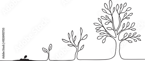 Minimalist continuous line art illustration depicting the various growth stages of a plant from a tiny seedling to a majestic mature tree