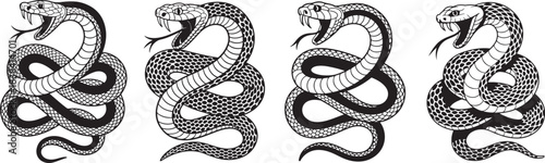 Collection of four coiled snakes with open mouths ready to strike in line art style