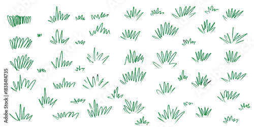 Set of hand drawn grass tufts and plant doodles isolated on white background 
