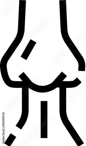 Human nose anatomy showing nostril and nasal passages