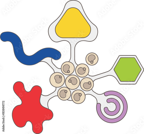Biological diagram showing stem cell differentiation process where cells divide and specialize into different tissue types for medical science and embryology study.
