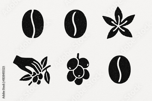 Peruvian coffee variety vector icons in torn textured structured grid on white background