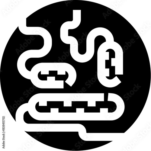 Human intestines diagram for digestion and anatomy health