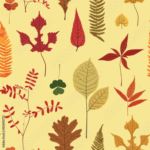 Autumn leaves vector illustration, pattern