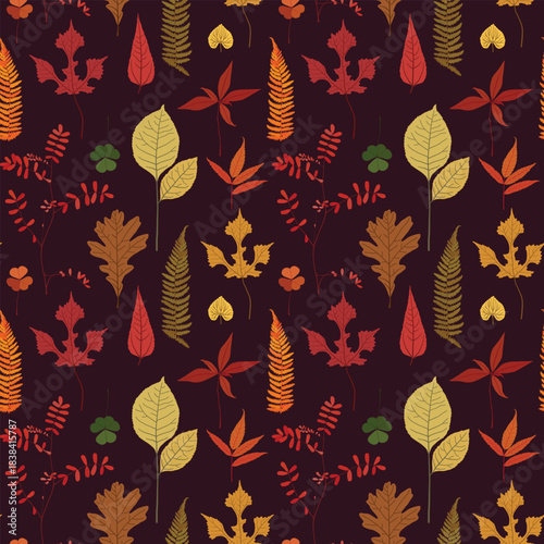 Autumn leaves vector illustration, pattern