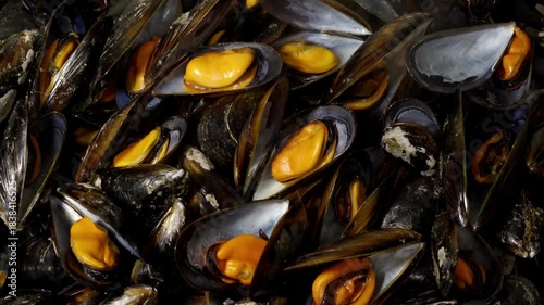 freshly cooked mussels steaming from galician coast in Spain , 4k seafood video footage