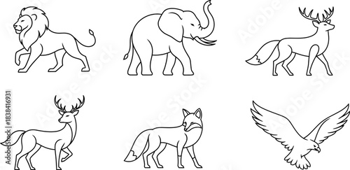 A big bundle Outline wild safari animals vector illustration of coloring page for kids and wild animals from tropical jungle, tiger macaque camel elephant bird lion deer wolf fish etc.