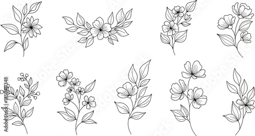 Hand draw Floral Botany Collection for coloring page outline. Elegant Flower Coloring Page – Botanical Sketch Artwork floral design elements for invitation, wedding, wallpaper, print template, vector 