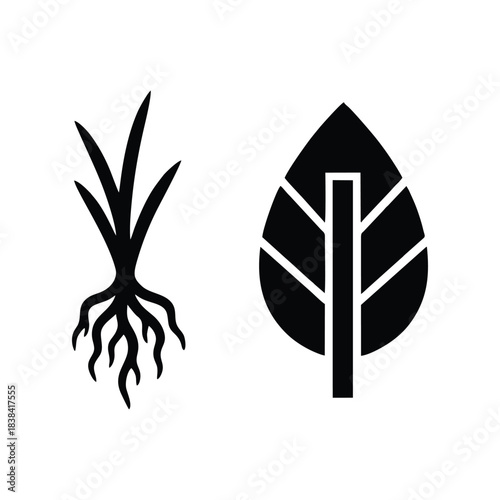Botanical Nature Icon Set: Minimalist Vector Illustration of a Seedling with Roots and a Bold Symmetric Leaf Silhouette
