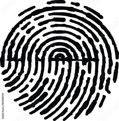 Black fingerprint isolated on white or transparent background. Detailed ink fingerprint on white background for identity and security concepts. 