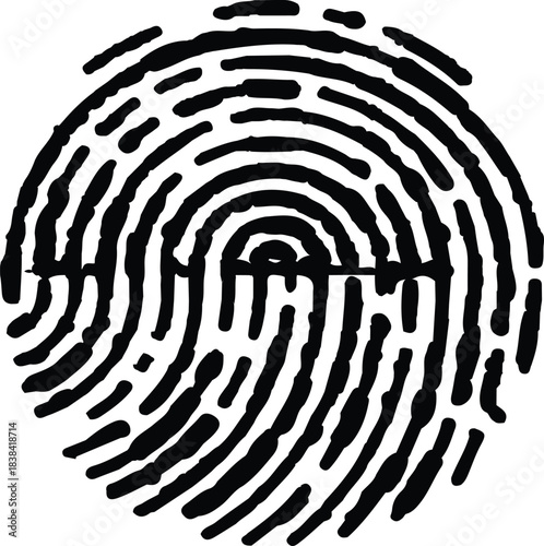 Black fingerprint isolated on white or transparent background. Detailed ink fingerprint on white background for identity and security concepts. 
