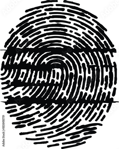 Detailed fingerprint illustration on white background. Black fingerprint illustration on a white background. Symbolizing personal identity and biometric security.