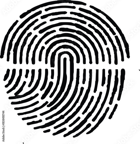 Detailed fingerprint illustration on white background. Black fingerprint illustration on a white background. Symbolizing personal identity and biometric security.