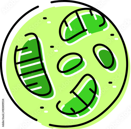 Green bacteria cell microorganism biology science icon