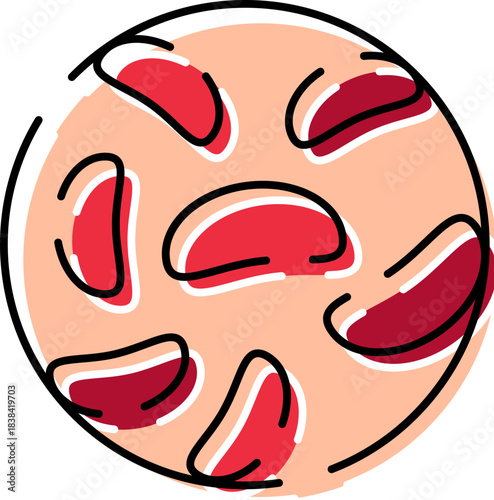 Human red blood cells flowing in blood vessel