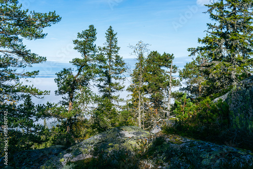 View from Bygdeborgen Borgen of the Totenåsen Hills, Norway, a day in fall.