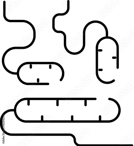 Gut microbiome and bacteria representing human intestine flora