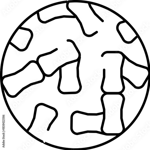 Microscopic bacteria cells multiplying inside a round petri dish