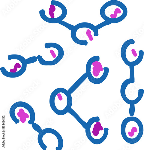 Immunological molecules representing antibody or antigen structures