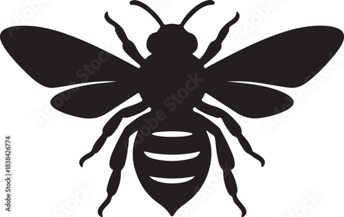 Black Silhouette of a Honey Bee with Wings Spread Open on a White Background insect also transparent background