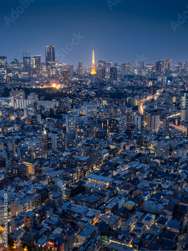 Photography Illuminated Tokyo Tower and Metropolitan Skyline at Night, Japan