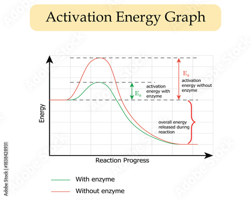 Activation energy graph diagram. Chemical reactions. A Scientific Medical Vector Diagram
