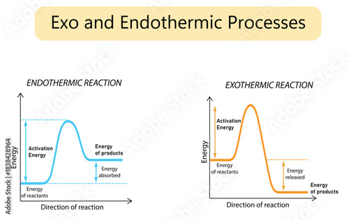 Energy Diagrams of Endothermic and Exothermic Chemical Reactions. Fully editable and scalable vector illustration isolated on white background