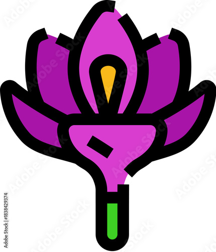 Saffron crocus flower blossom icon vector illustration