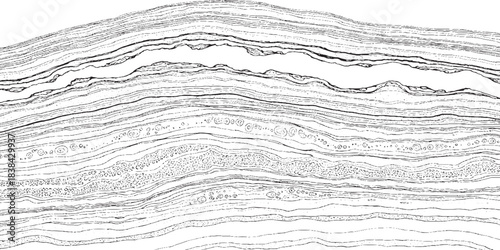 Seismic Reflection Data Showing Stratified Geological Layers.