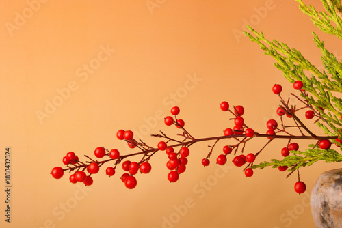 vector illustration of an autumn background