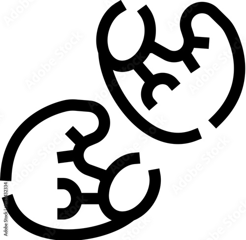 Human kidneys outline icon representing nephrology and health