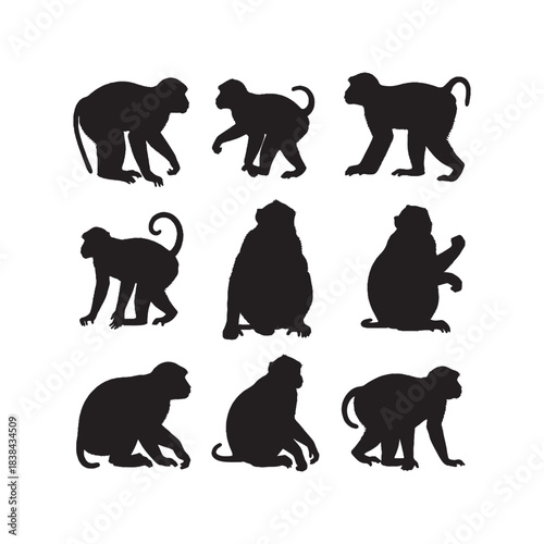 Macaque Silhouettes Collection,Macaques Silhouettes,Vector Macaque Silhouettes,Monkey Silhouettes,macaque vector