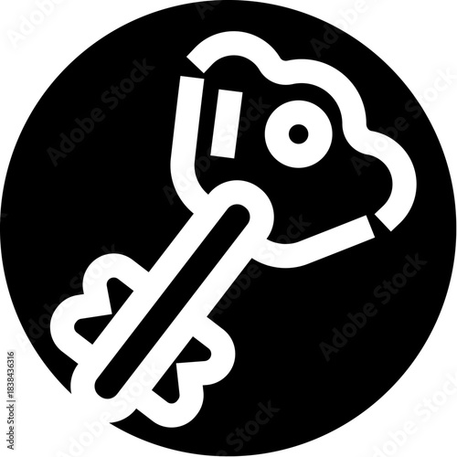 Key icon representing access, security, and solution