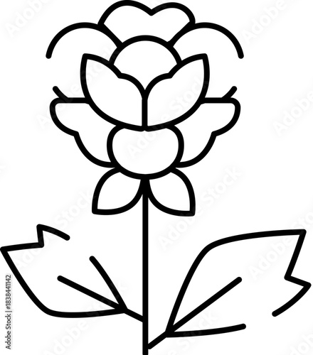 Cloudberry flower arctic berry line art drawing